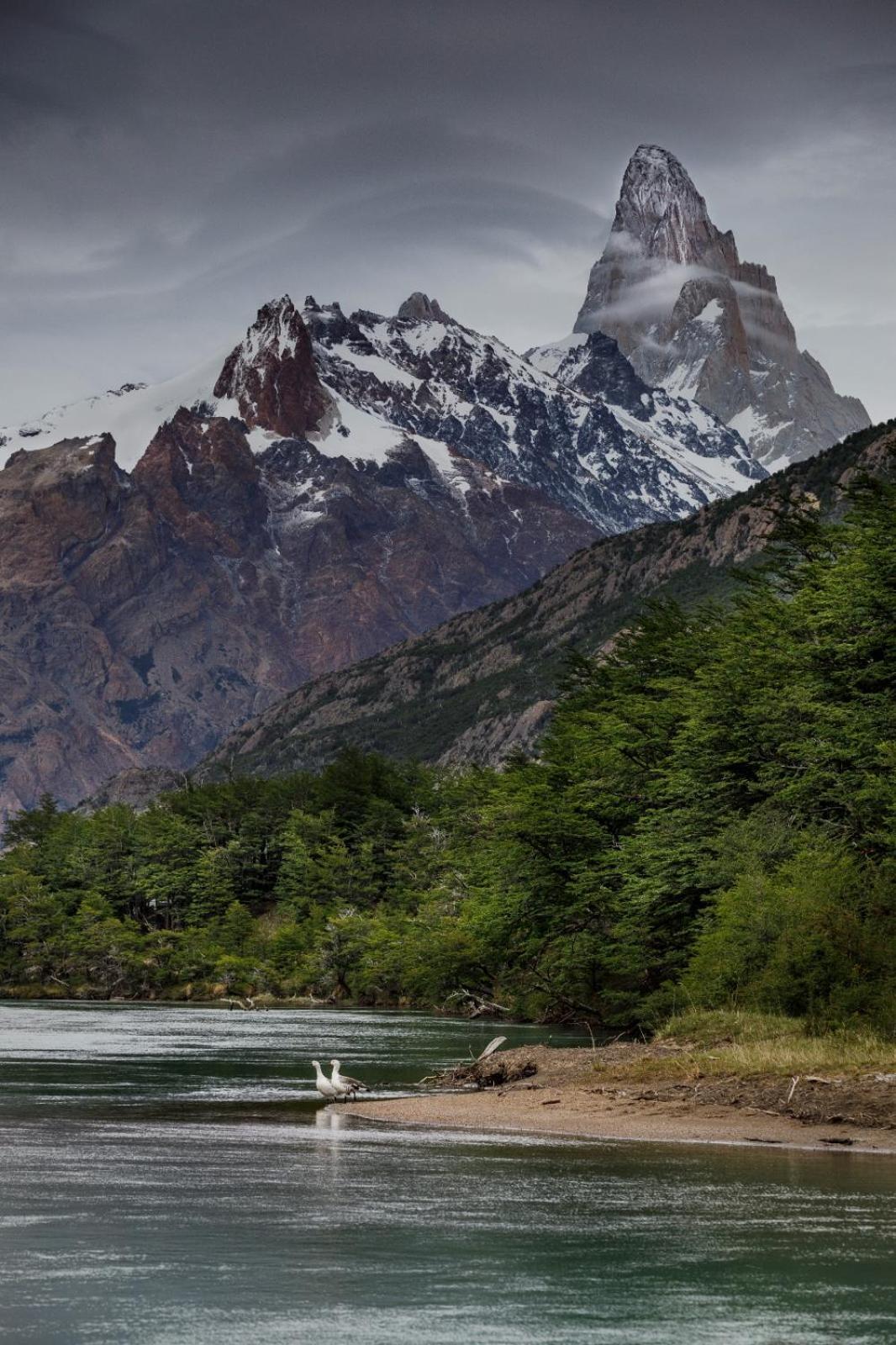Laguna Condor - Refugio De Montana El Chaltén Eksteriør billede